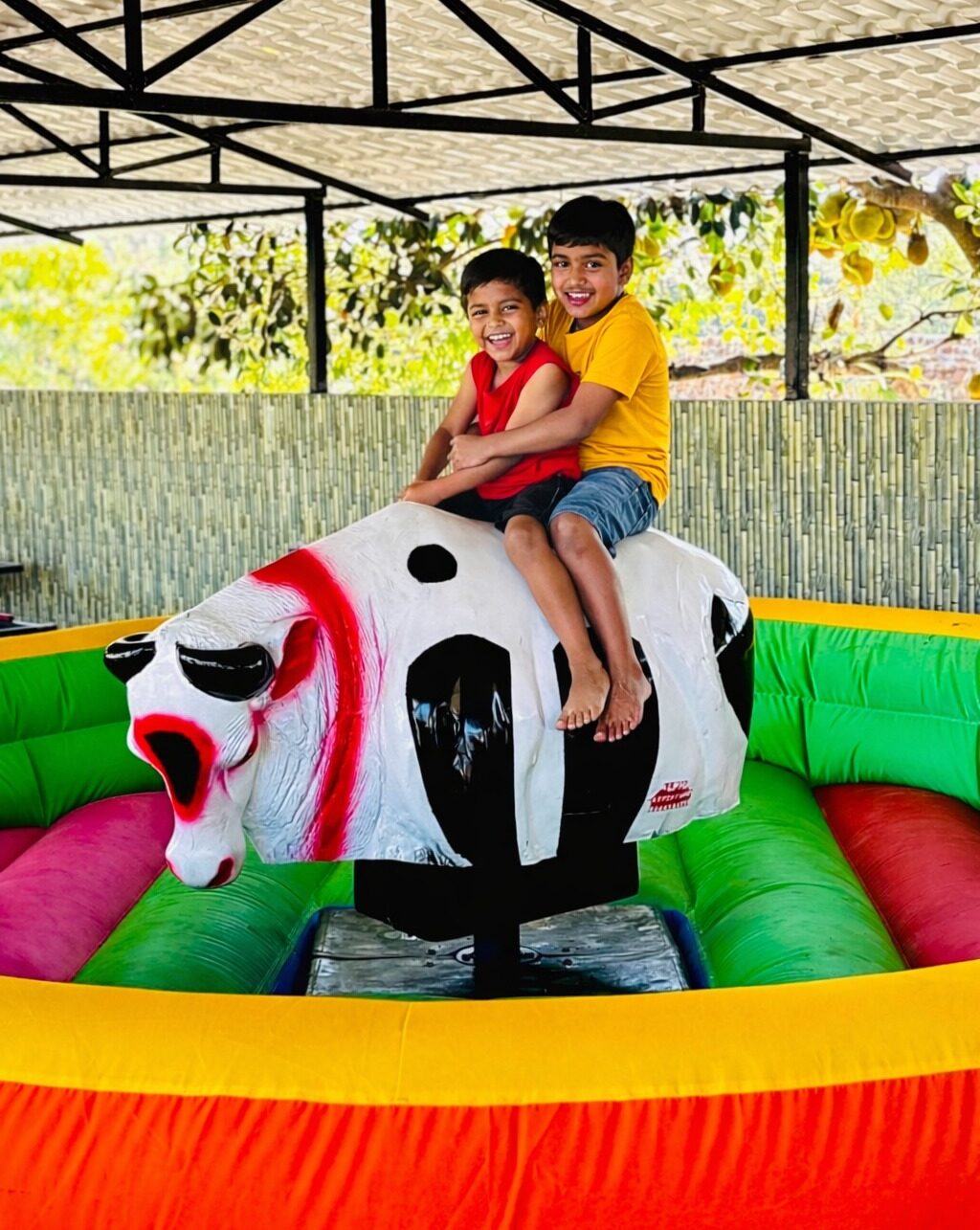 Bull Ride